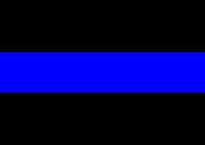 Thin Blue Line Sticker 2.5" X 4.5" - Great for Your Car! - BackYourHero